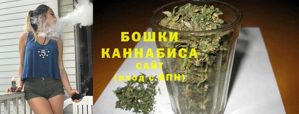 амф Арсеньев