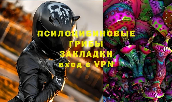 амф Арсеньев