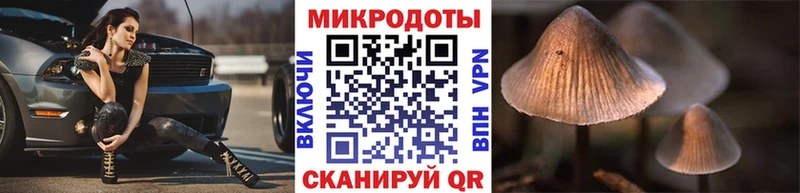 как найти закладки  Сегежа  Галлюциногенные грибы мицелий 
